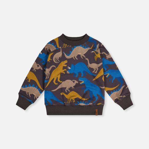 Fleece Sweatshirt Grey Dinosaur Print