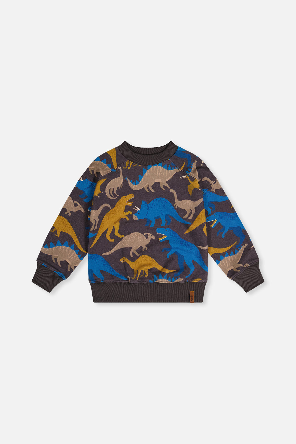 Fleece Sweatshirt Grey Dinosaur Print