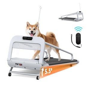 New Quiet Smart Pet Treadmill, Adjustable Speed, Perfect For Small Medium Dogs - Image 1